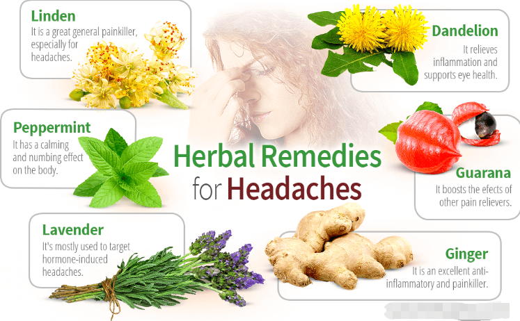 Chinese herbs for Headache