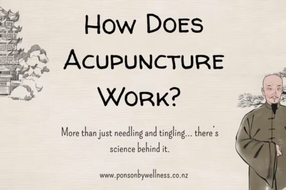 how does acupuncture work