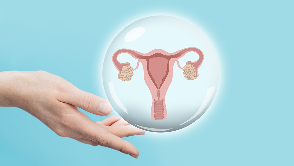 fertility support