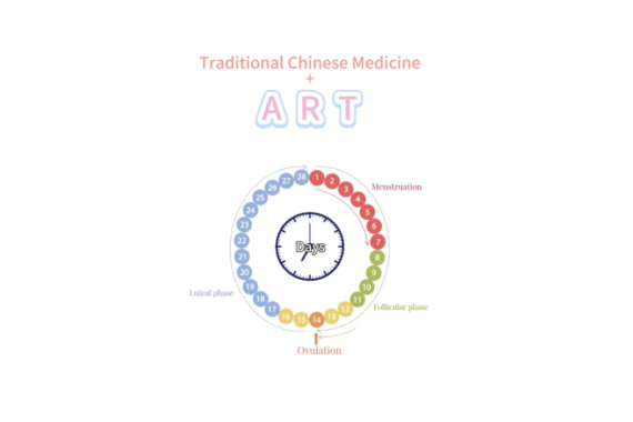 Fertility acupuncture Auckland