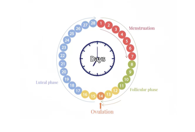 Fertility acupuncture Auckland