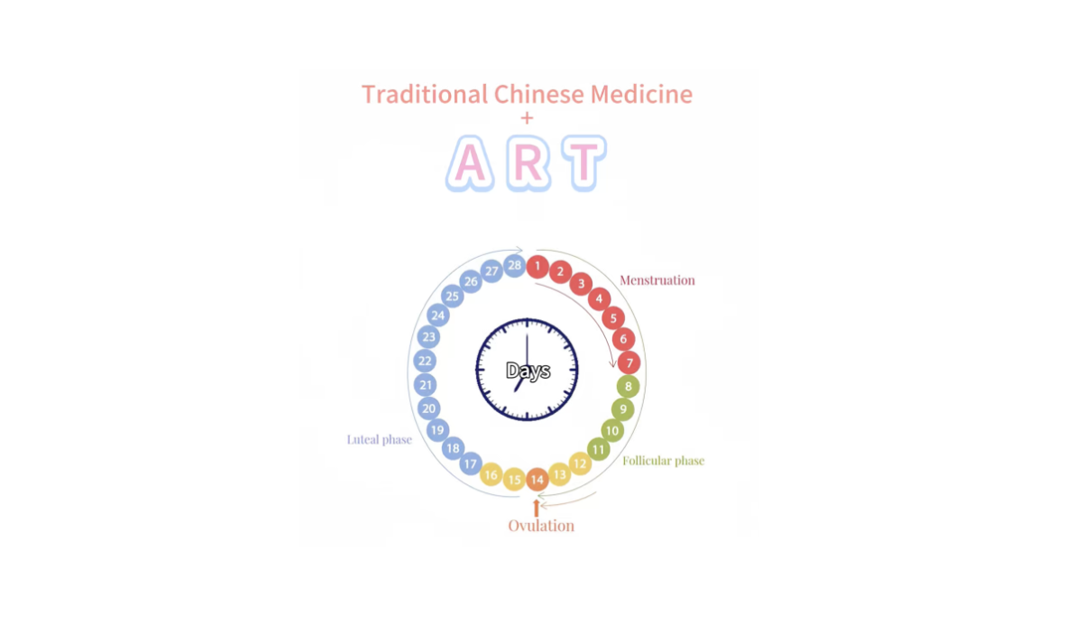 Fertility acupuncture Auckland