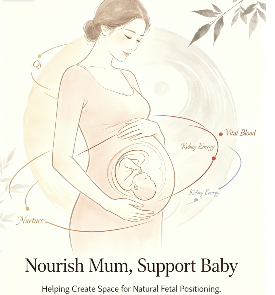 TCM pregnancy support